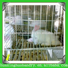 Großhandel Kaninchen Zuchtkäfige